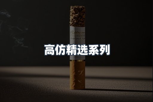 高仿精选系列